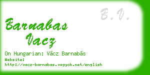 barnabas vacz business card