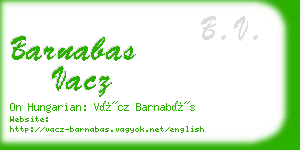 barnabas vacz business card